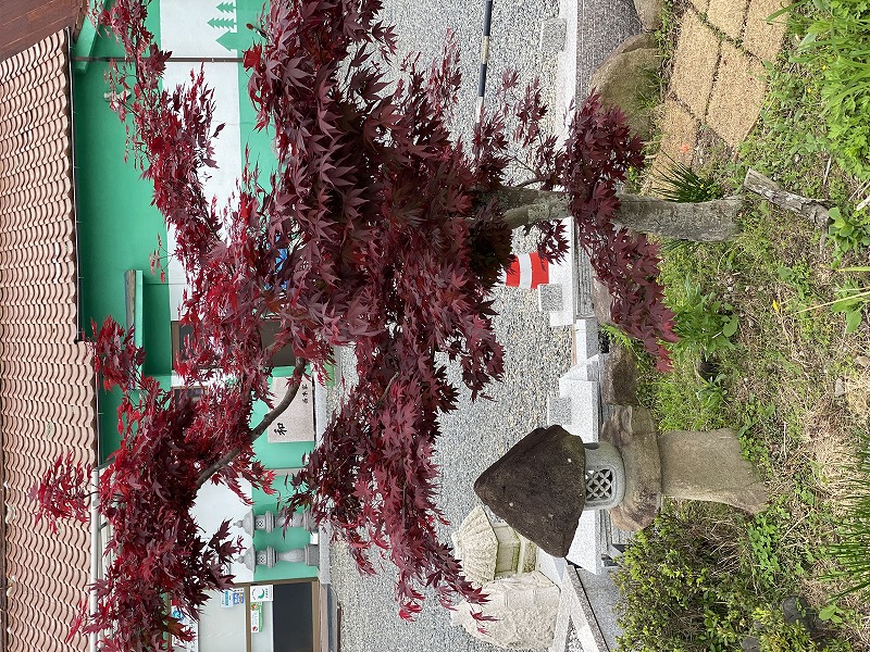 ゴールデンウイークのお休みについて☆