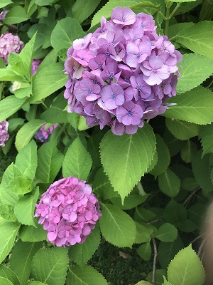 諸岡家屋調査士の先生訪問☆