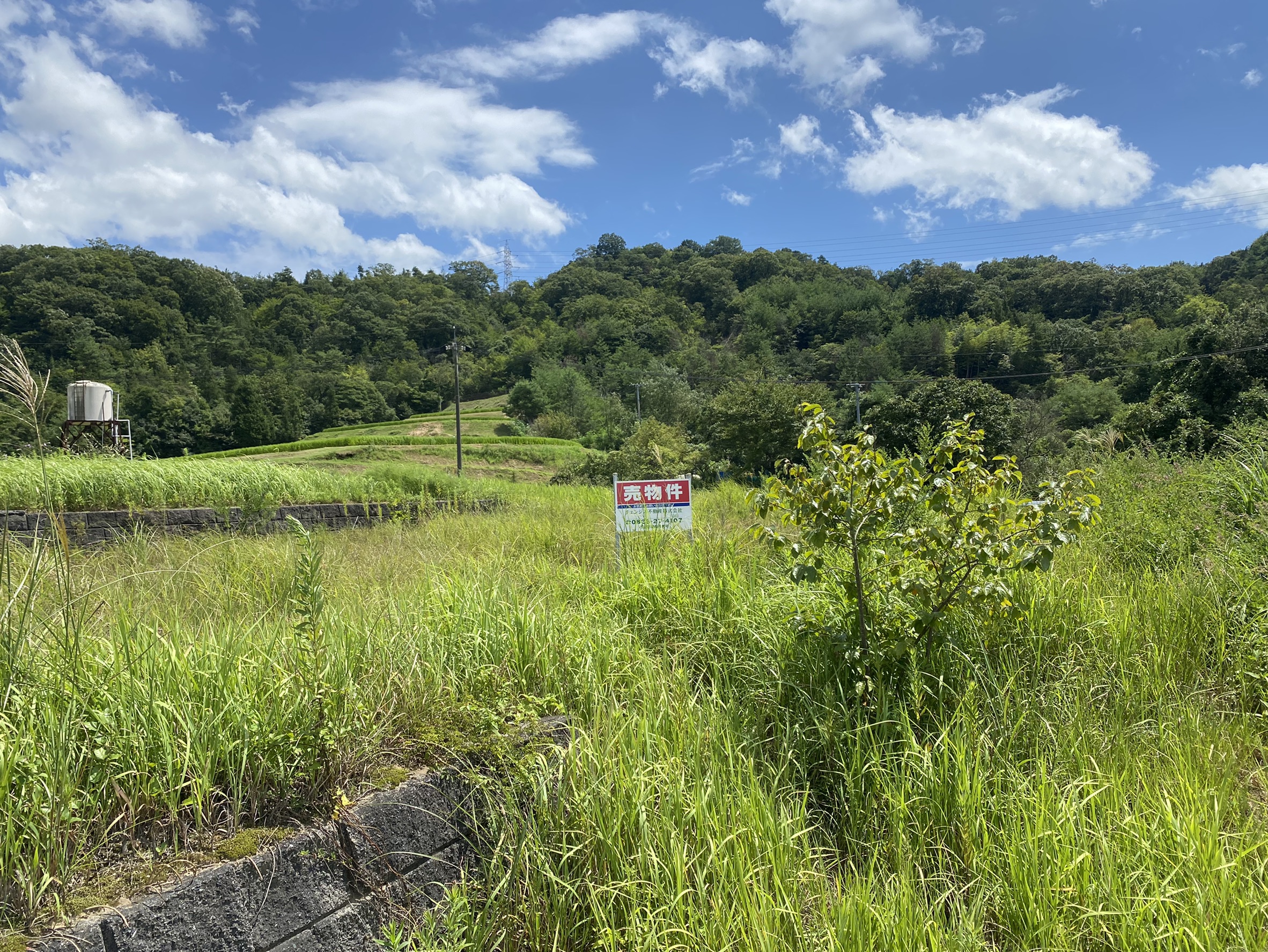 黒瀬町宗近柳国の土地を売り出し開始します。