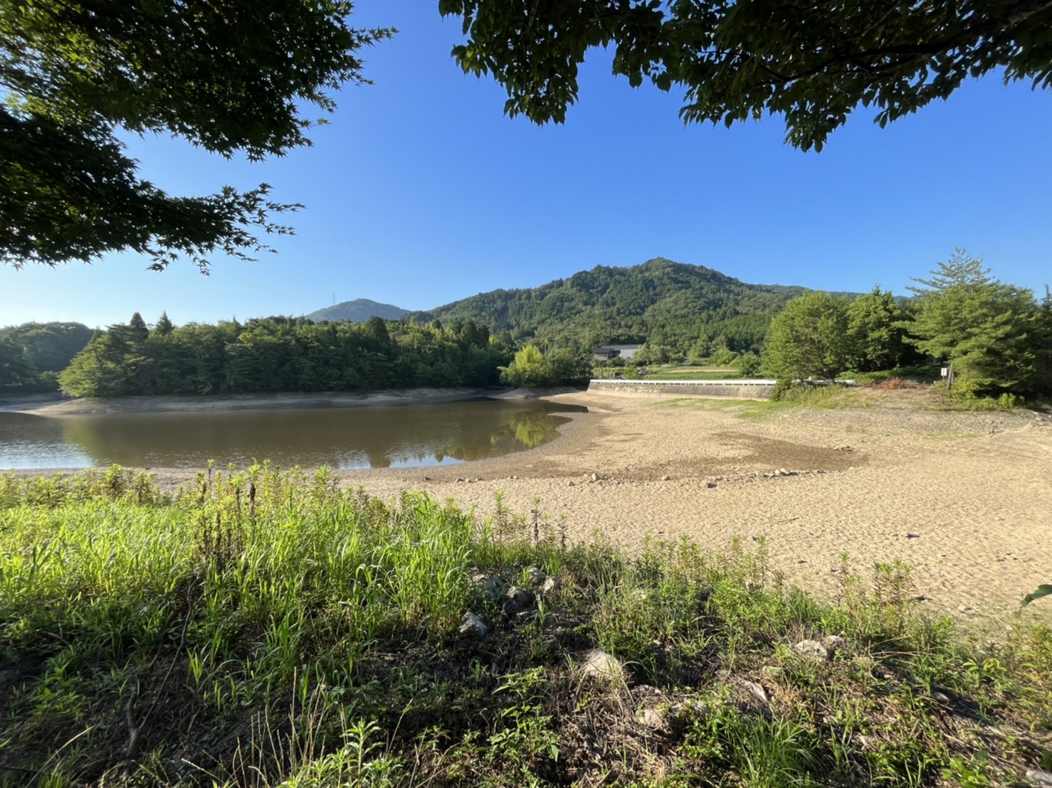 ７月１日、金曜日です。