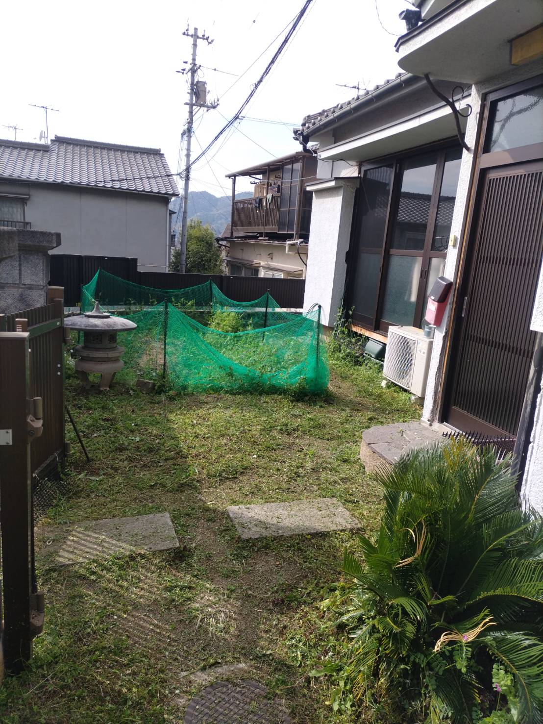 草の管理を行いました。