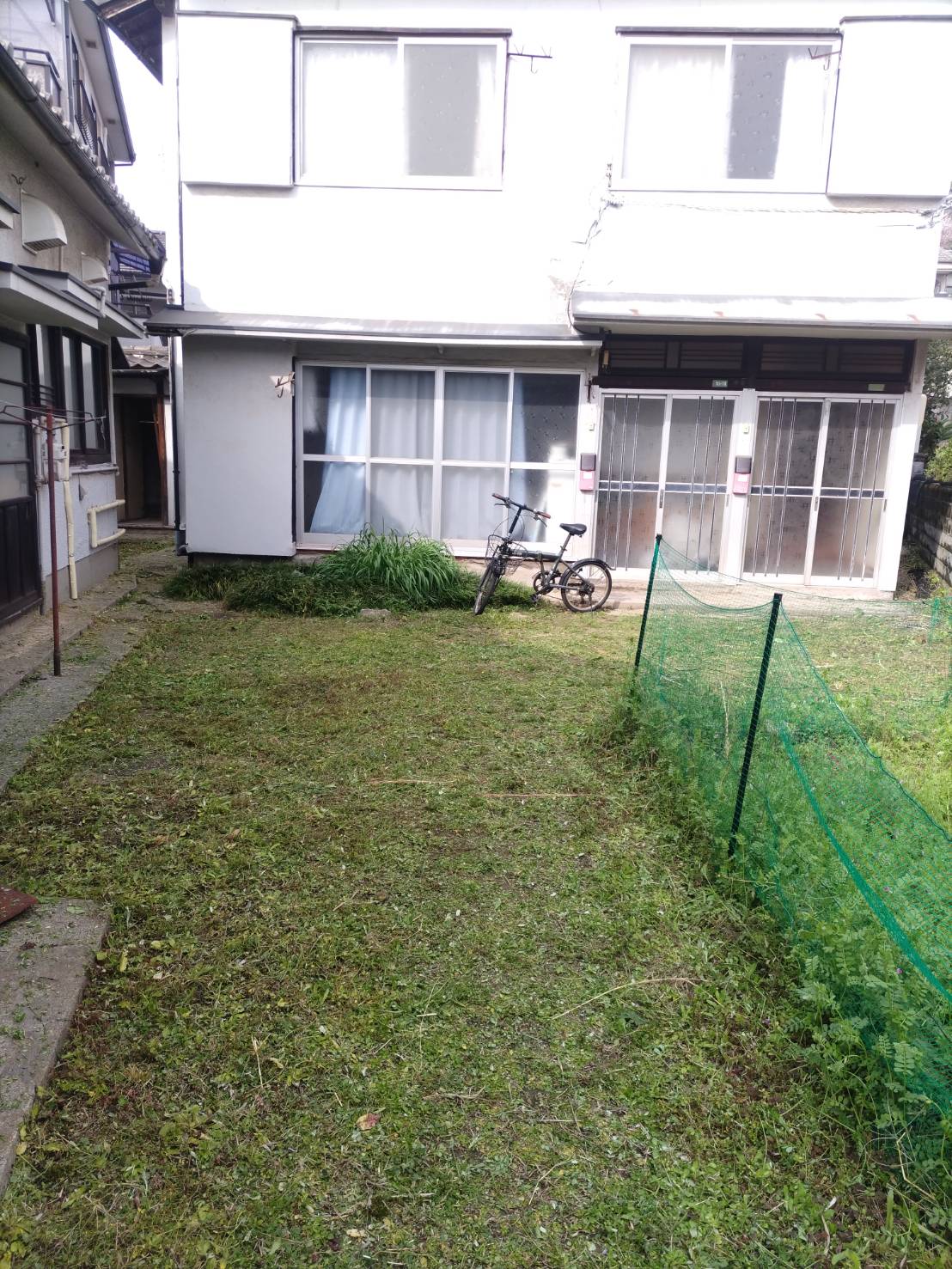 草の管理を行いました。