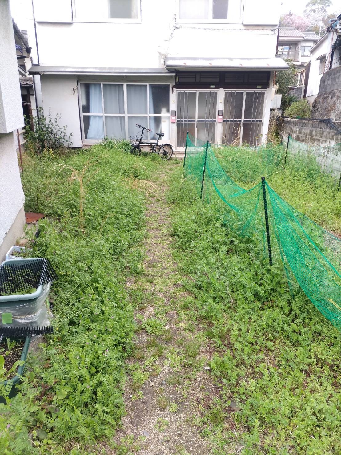 草の管理を行いました。