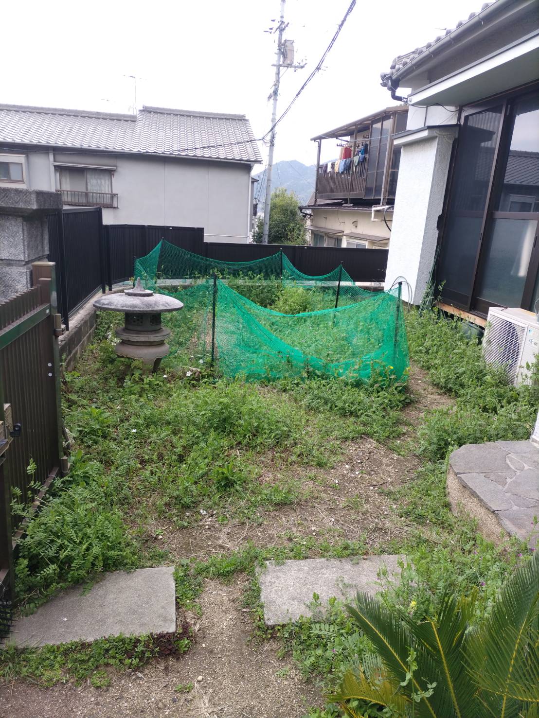 草の管理を行いました。