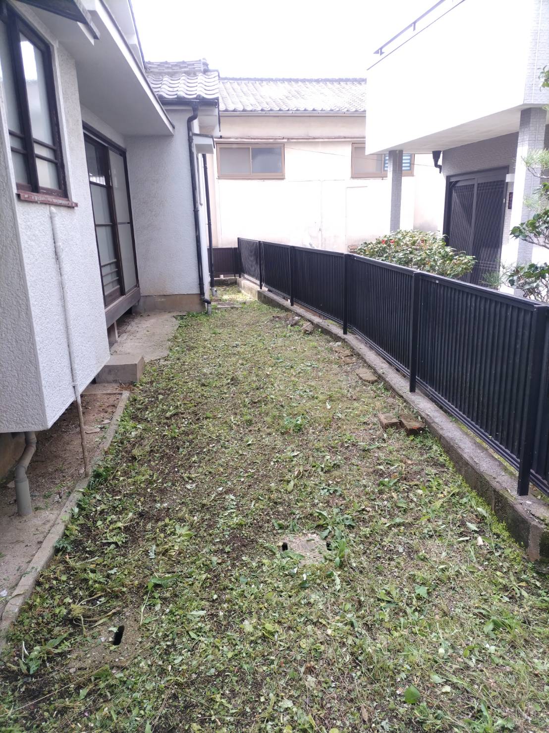 草の管理を行いました。