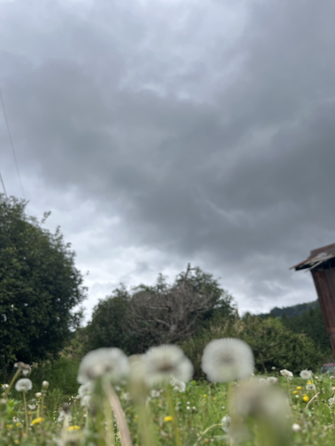 ゴールデンウィーク休みのお知らせです。