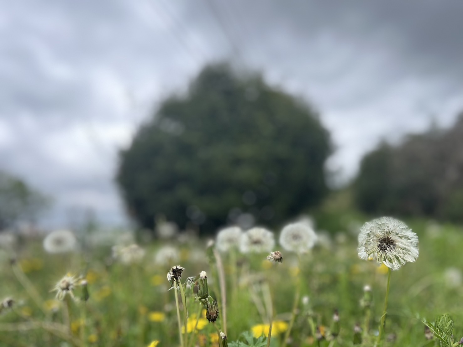 ゴールデンウィーク休みのお知らせです。