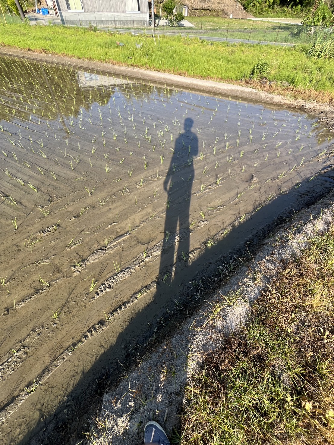 8期が終了しました。明日から9期です。