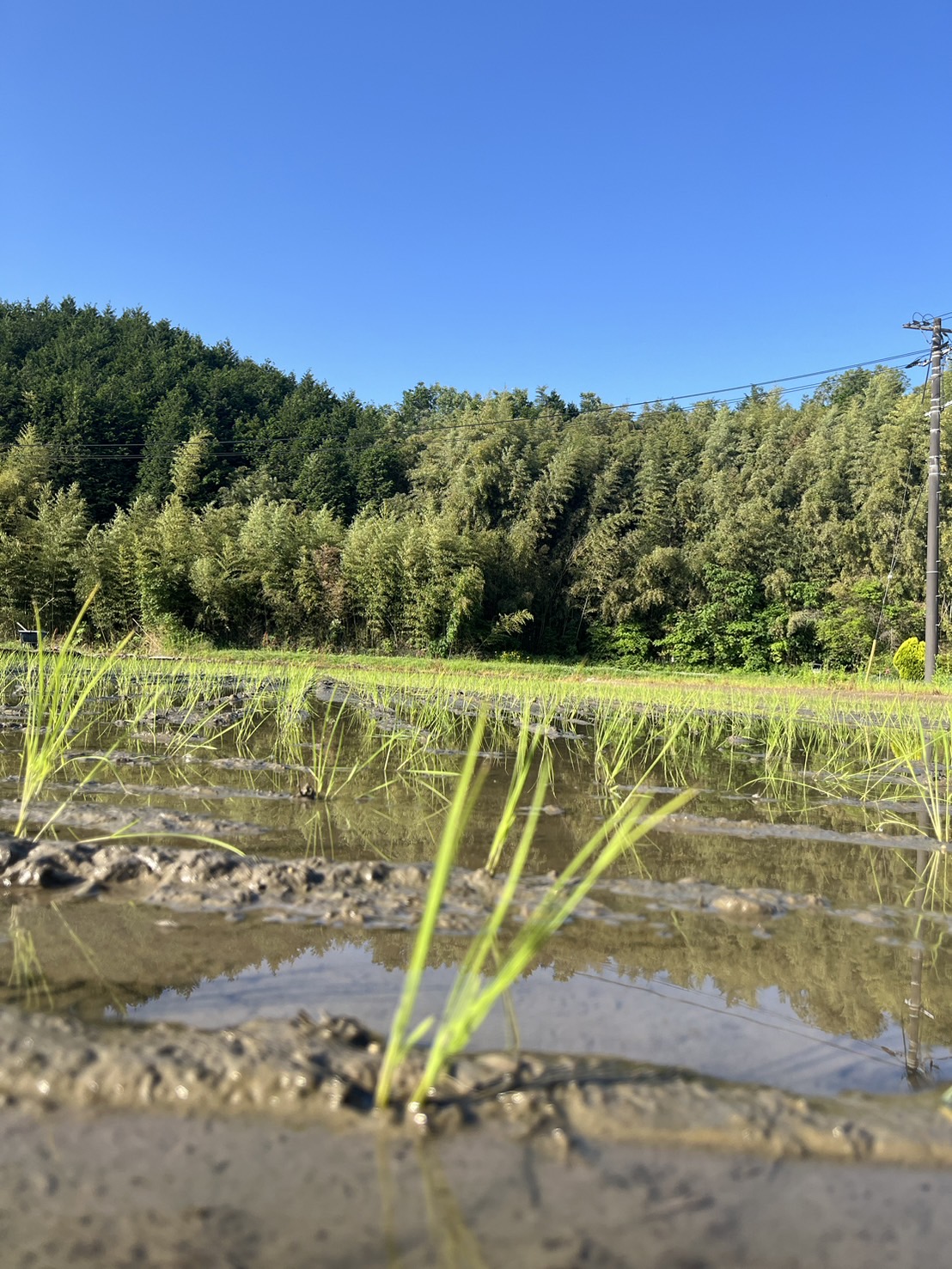 8期が終了しました。明日から9期です。