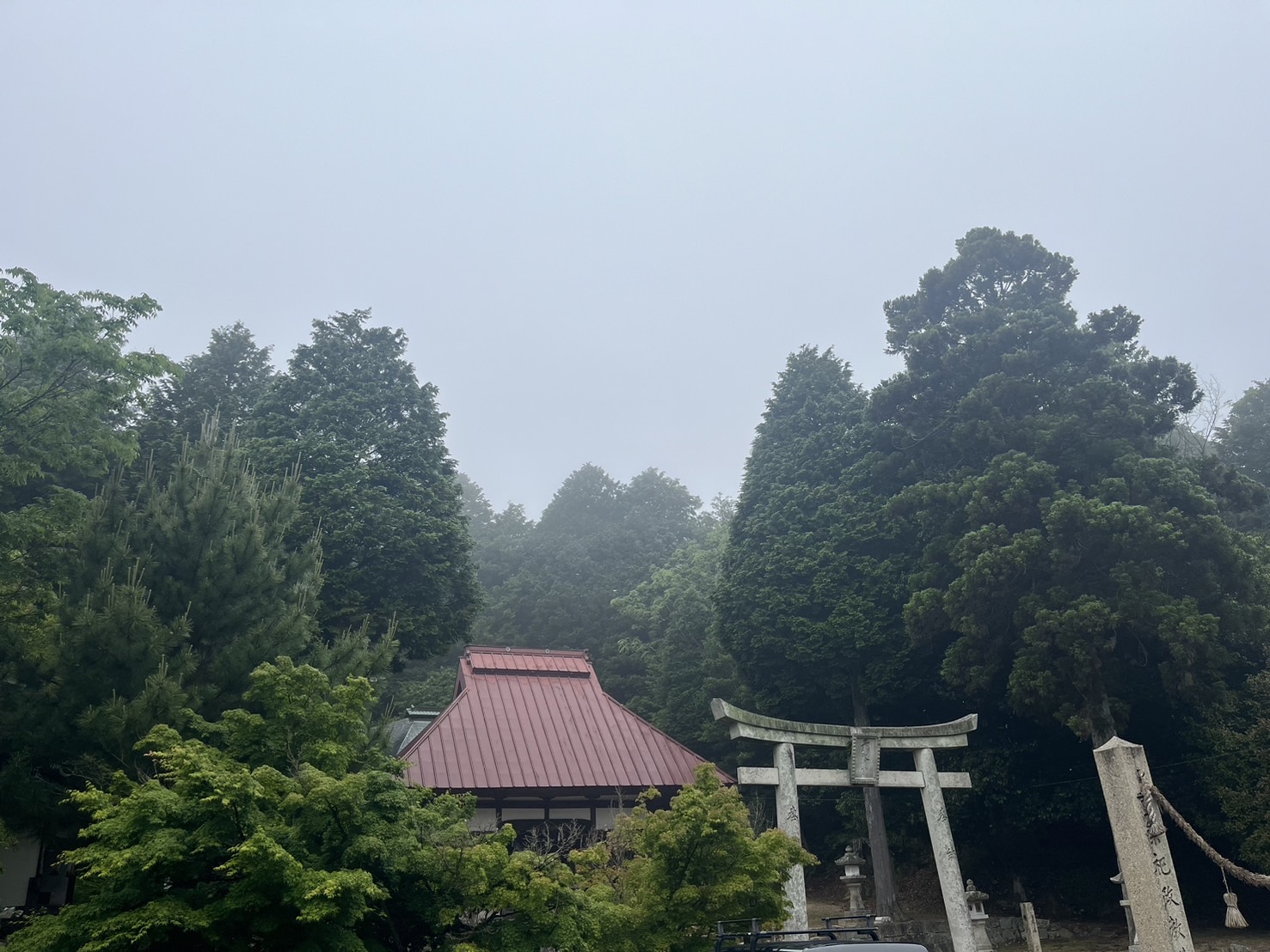 無事本日9期を迎える事が出来ました。