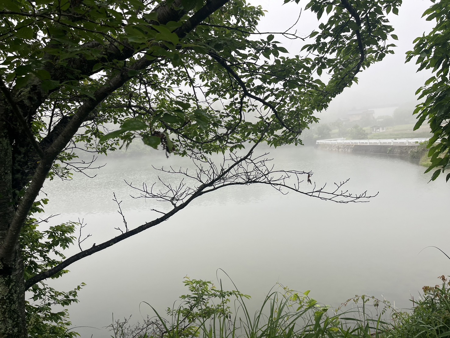 無事本日9期を迎える事が出来ました。