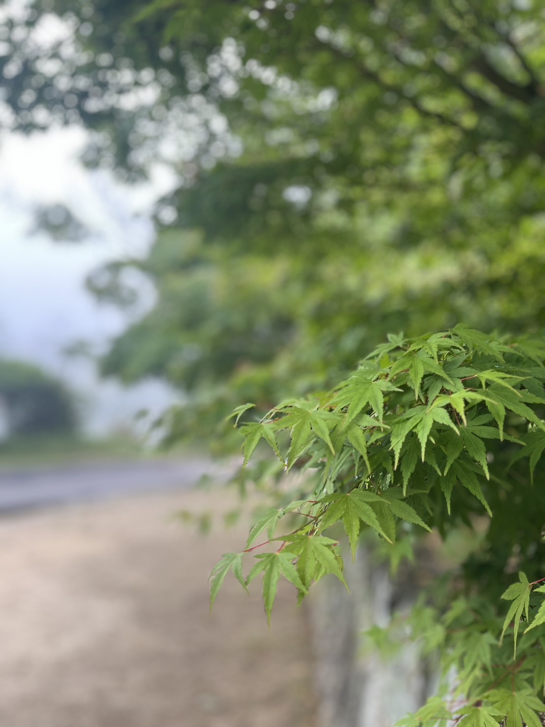 無事本日9期を迎える事が出来ました。