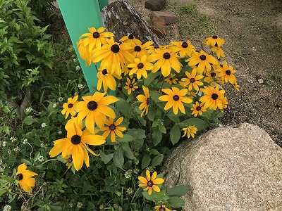 本日も契約というお客様の笑顔を見れました☆