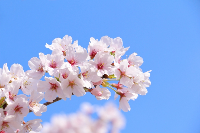 初心忘るべからず