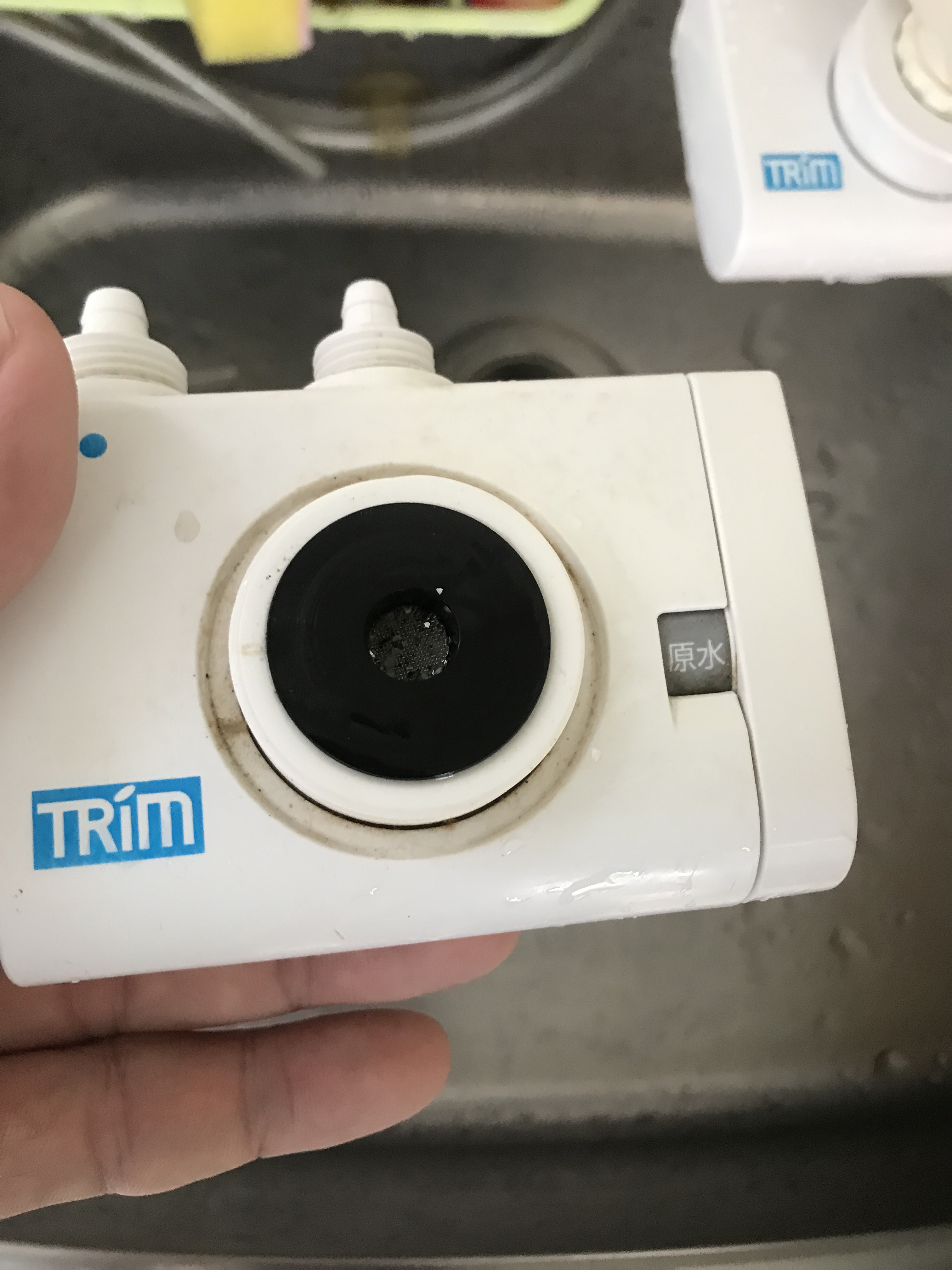 トリムの販売開始しました＾０＾