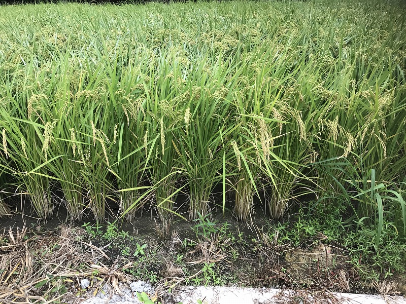 おはようございます。8月最後の月曜開始します！！